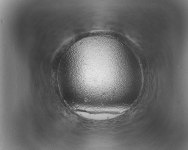 X0000066101351200603241507