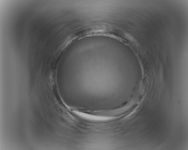 X0000066101353200603241507