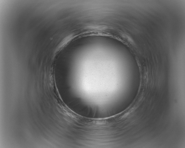 X0000066101354200603241507