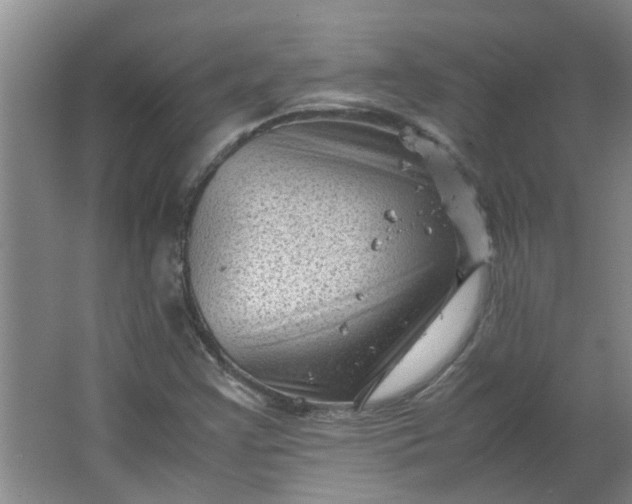 X0000066101355200603241507