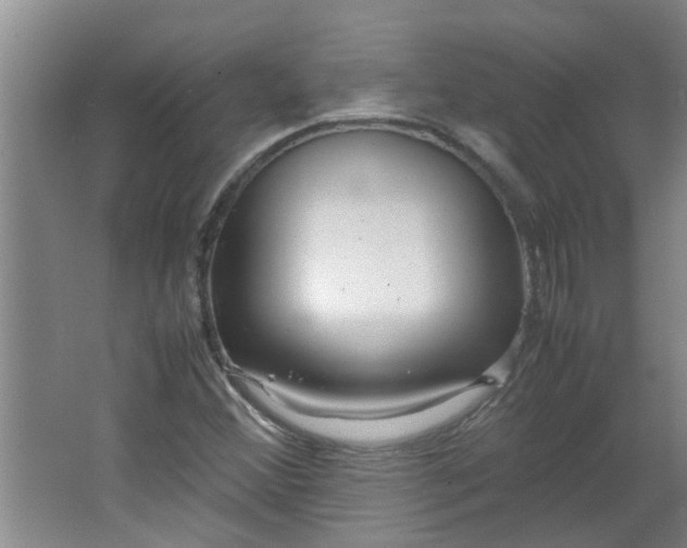 X0000066101356200603241507