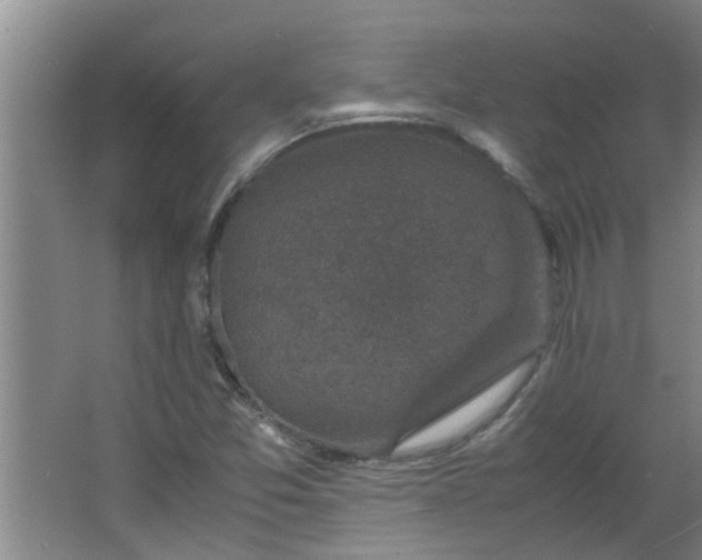 X0000066101357200603241507