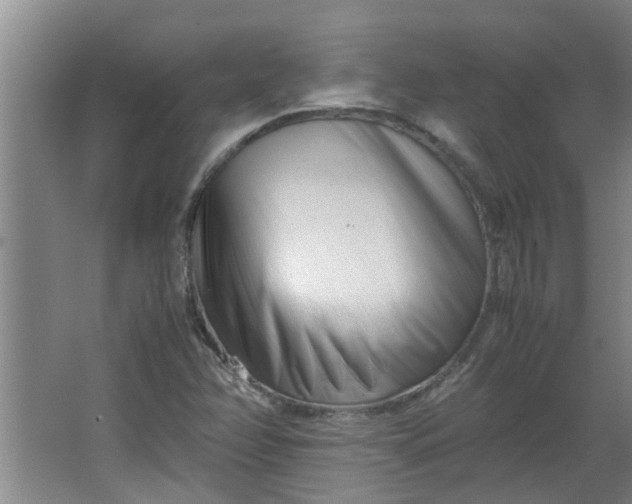 X0000066101358200603241507