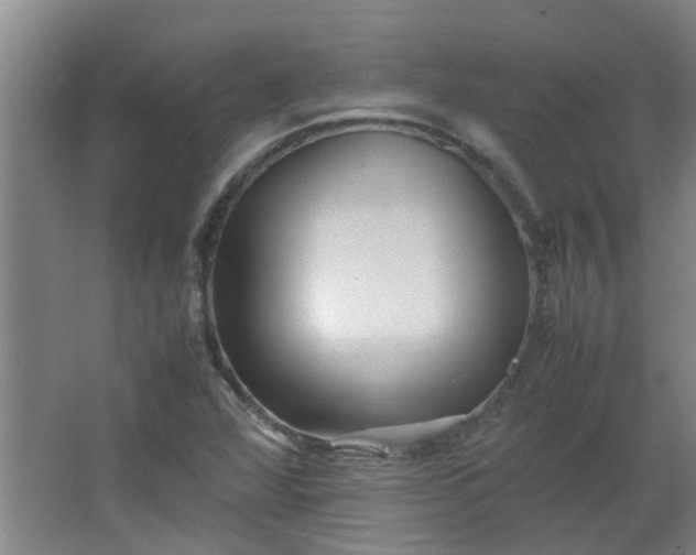 X0000066101360200603241507