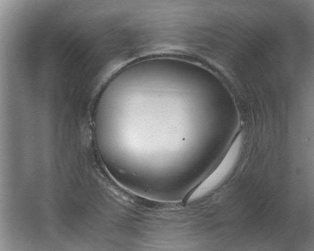 X0000066101363200603241507