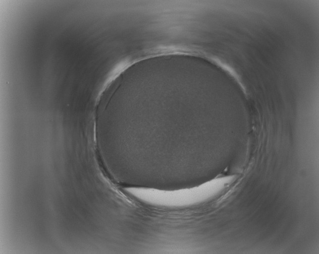 X0000066101365200603241507