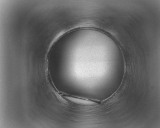 X0000066101366200603241507