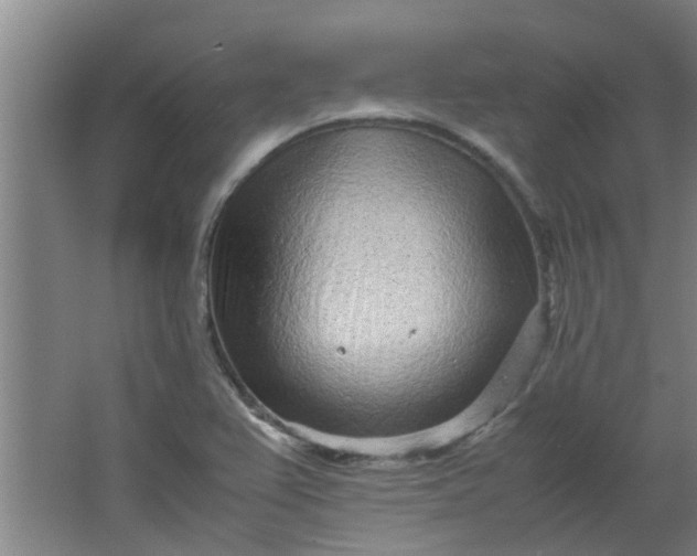 X0000066101367200603241507