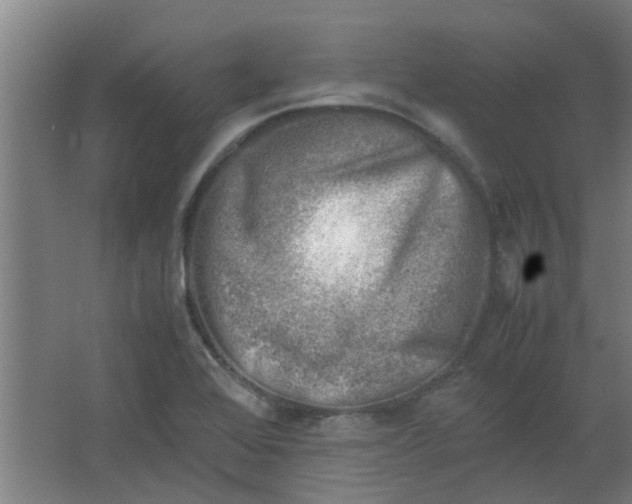 X0000066101368200603241507