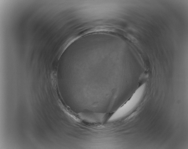 X0000066101369200603241507