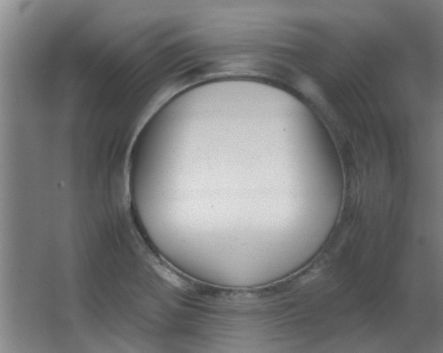 X0000066101370200603241507