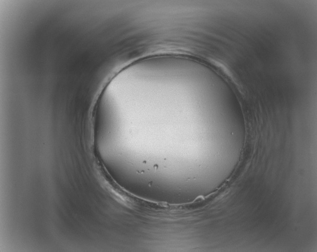 X0000066101371200603241507