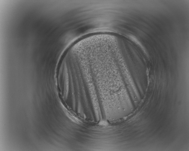 X0000066101372200603241507