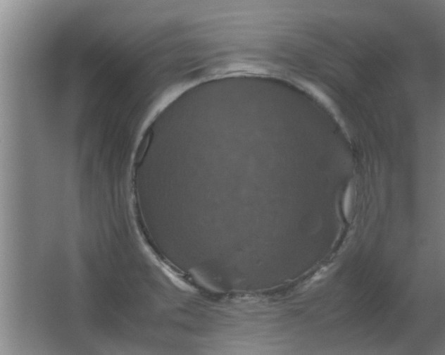 X0000066101373200603241507