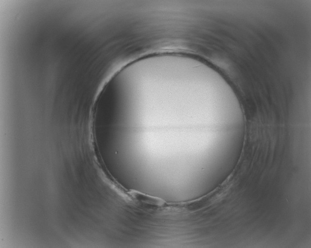 X0000066101374200603241507