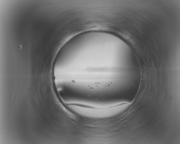 X0000066101375200603241507