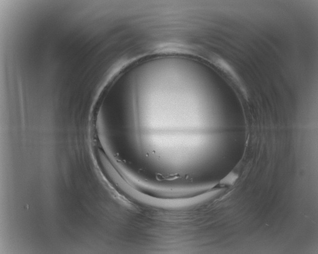 X0000066101376200603241507