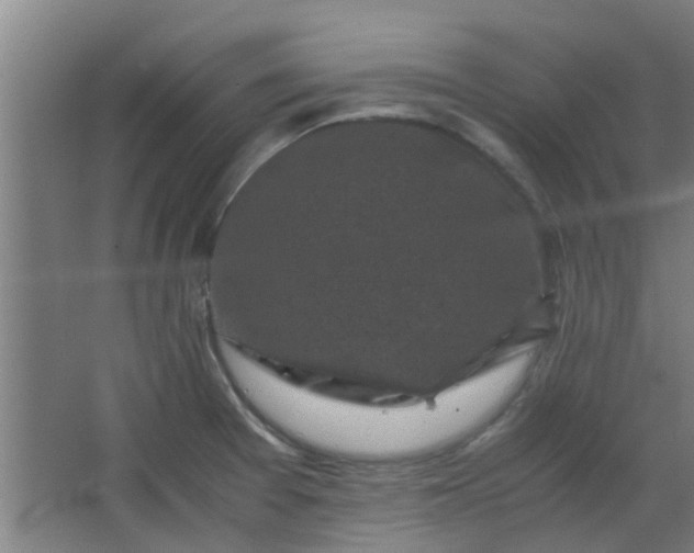 X0000066101377200603241507