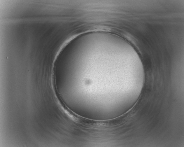 X0000066101379200603241507