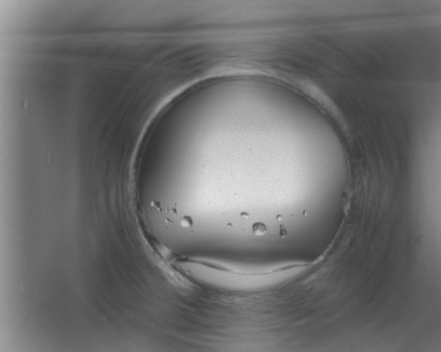 X0000066101380200603241507