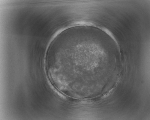 X0000066101381200603241507