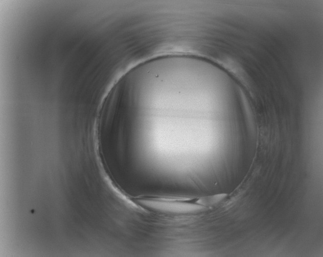 X0000066101382200603241507