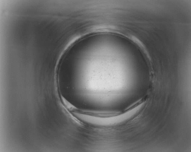 X0000066101384200603241507