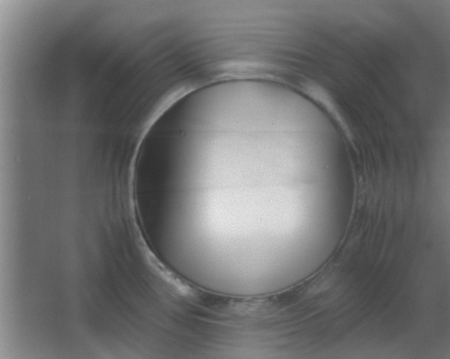 X0000066101386200603241507