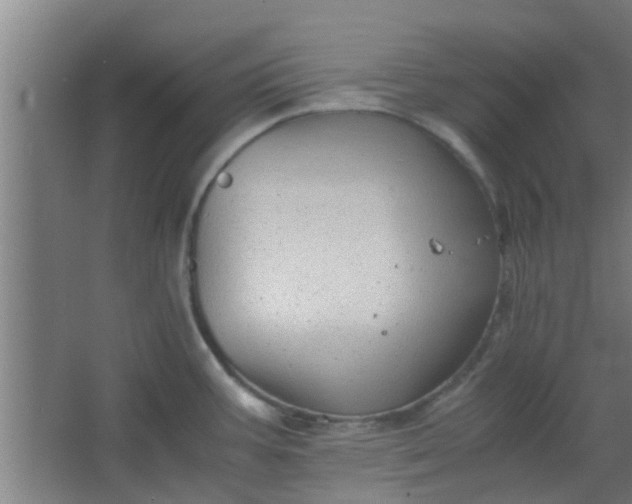 X0000066101387200603241507