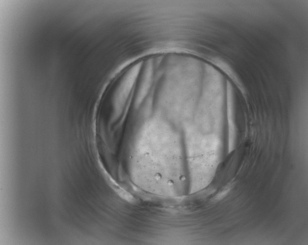 X0000066101388200603241507