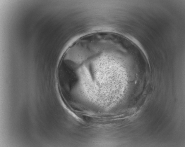 X0000066101389200603241507