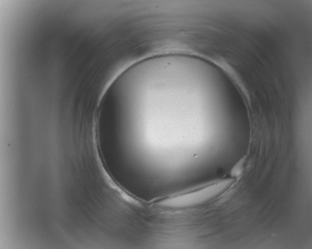 X0000066101390200603241507