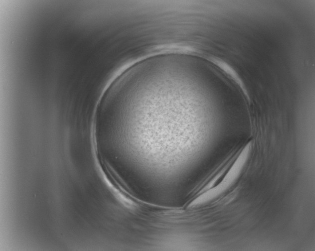 X0000066101391200603241507