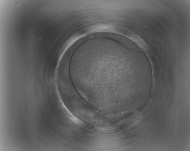 X0000066101392200603241507