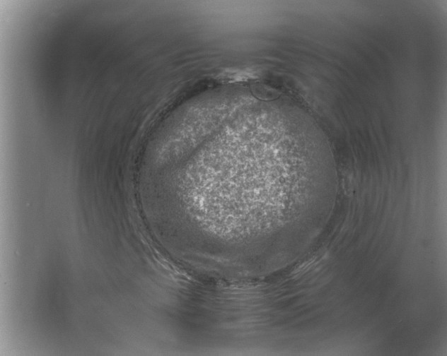 X0000066101393200603241506