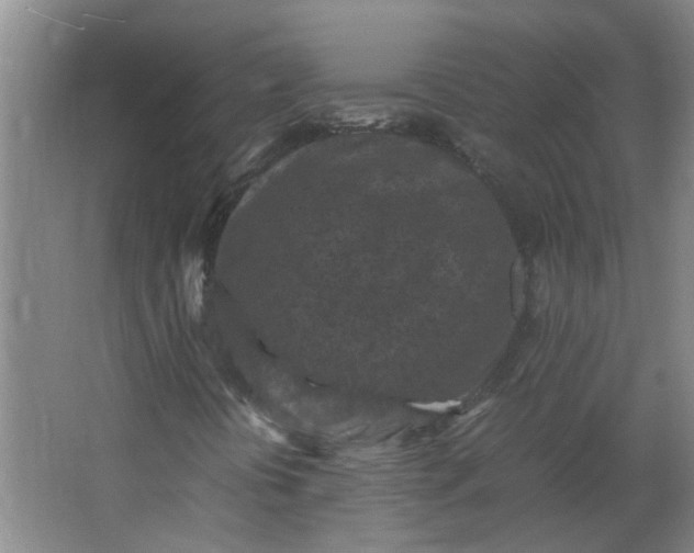 X0000066101394200603241506