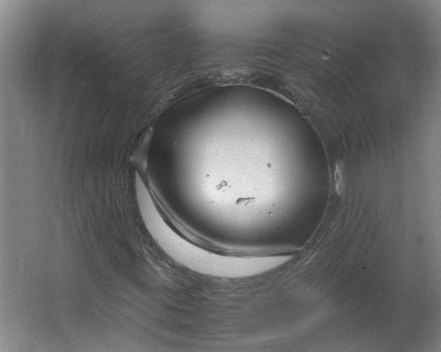 X0000066101395200603241506