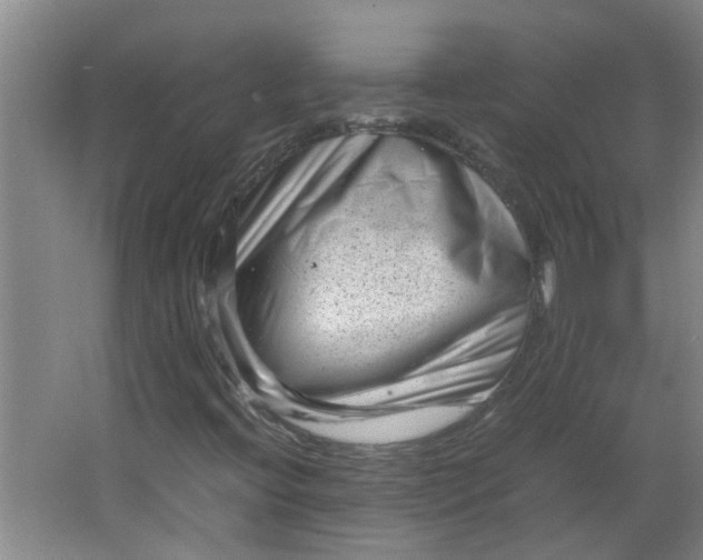 X0000066101396200603241506