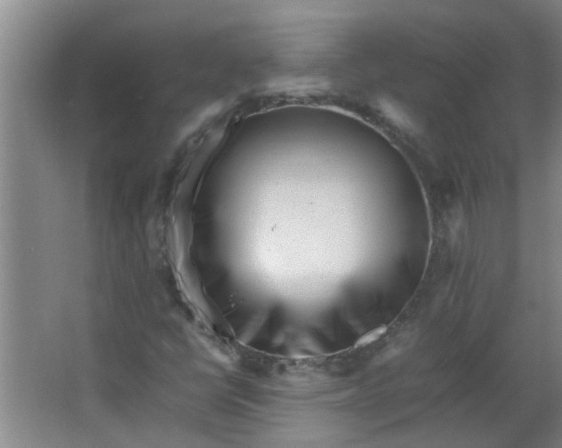 X0000066101398200603241506