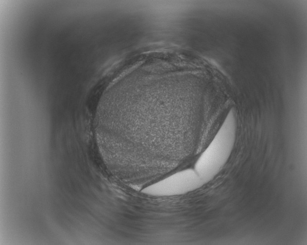 X0000066101399200603241506