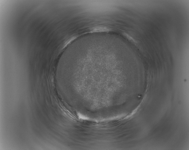 X0000066101401200603241506