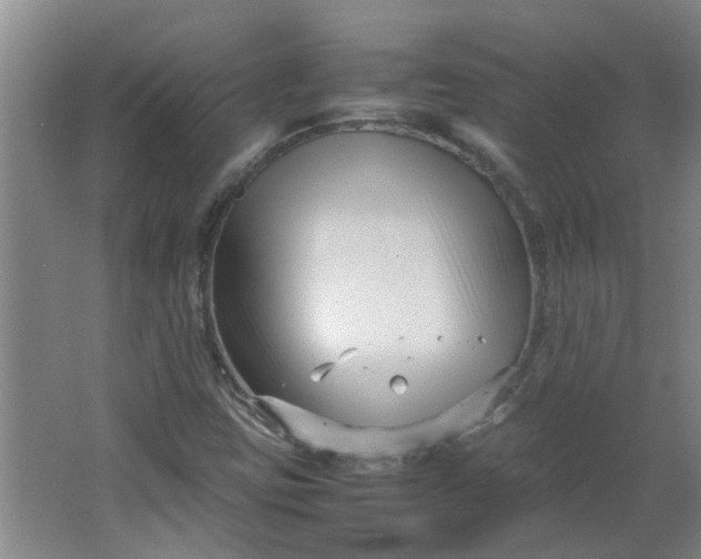 X0000066101403200603241506