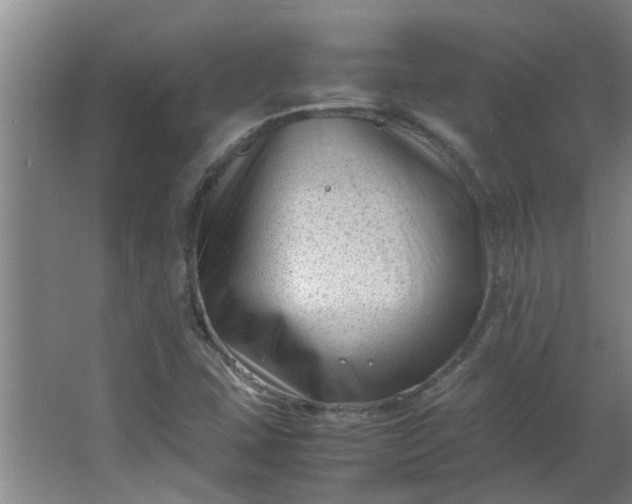 X0000066101407200603241506