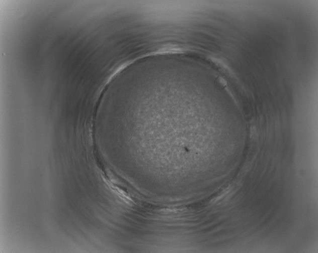 X0000066101409200603241506