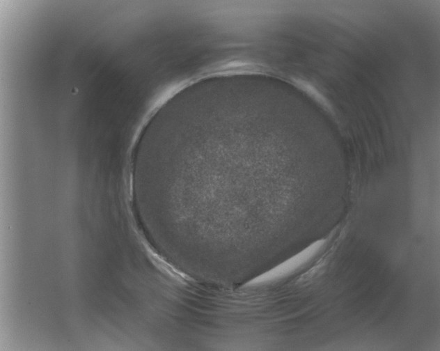 X0000066101413200603241506