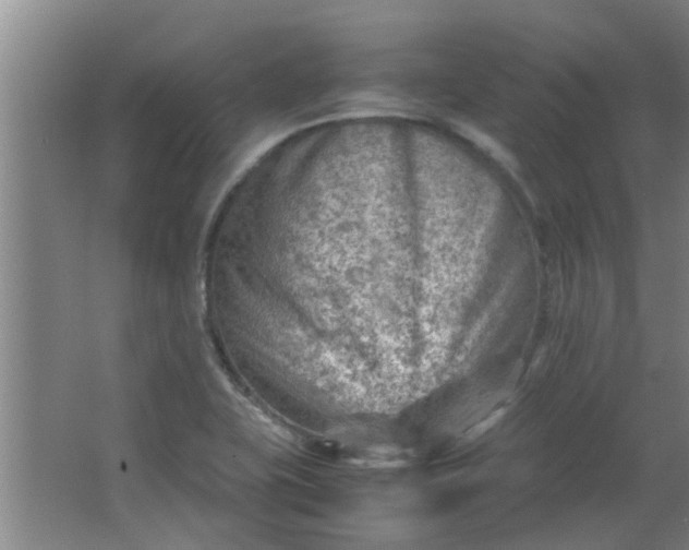 X0000066101415200603241506