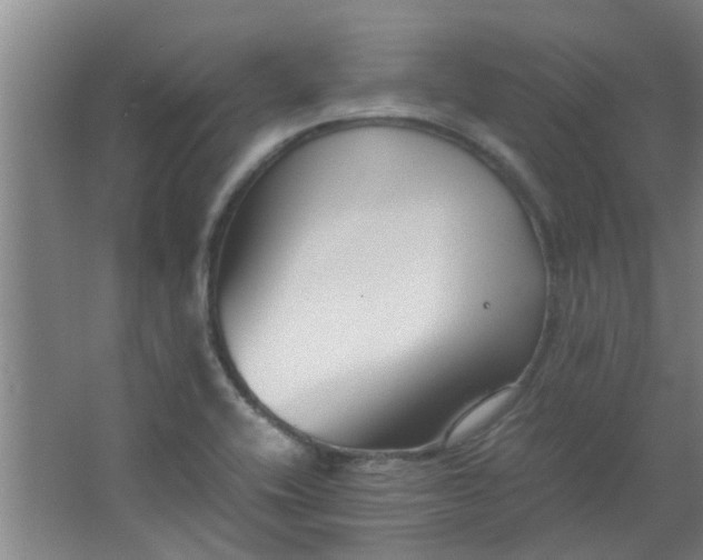 X0000066101416200603241506