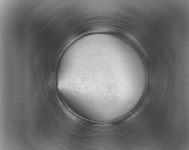 X0000066101417200603241506