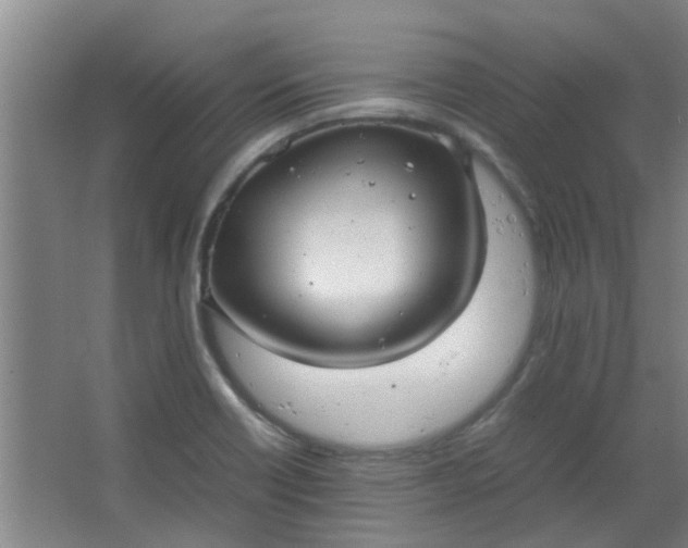 X0000066101418200603241506