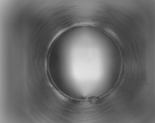 X0000066101420200603241506